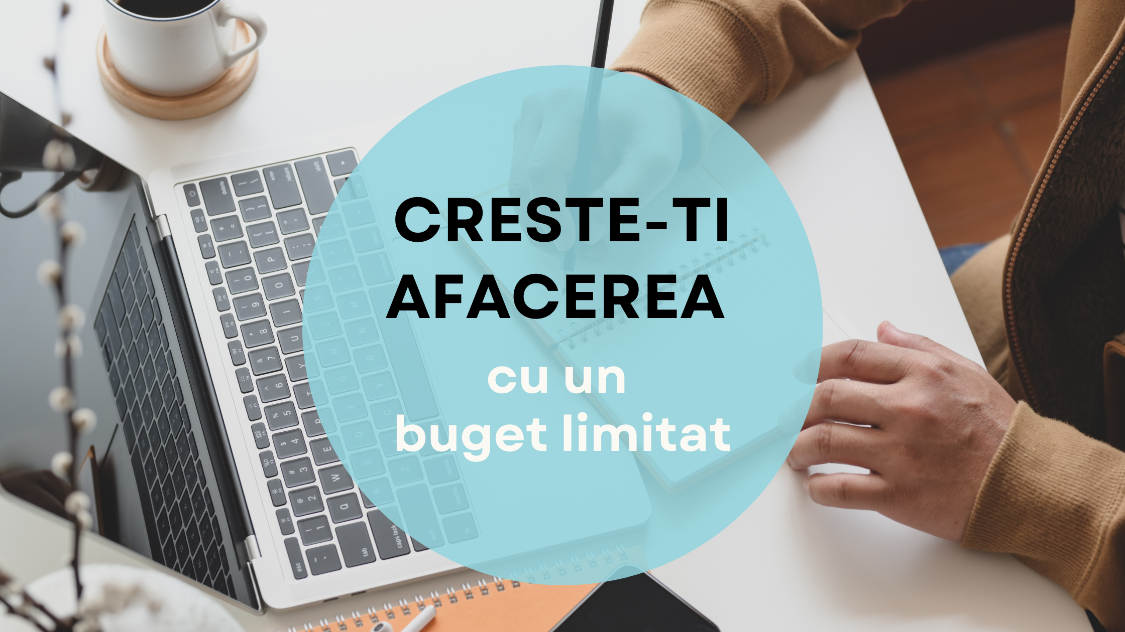 Marketing cu buget redus marketing cu buget redus