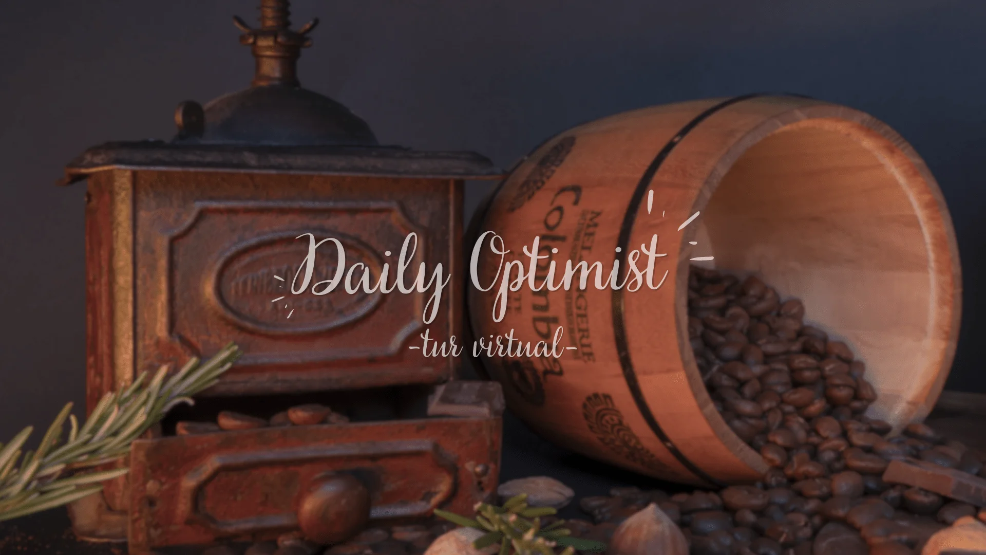 Tur virtual - Daily Optimist